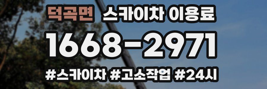 덕곡면 스카이차 이용료