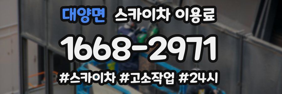 대양면 스카이차 이용료
