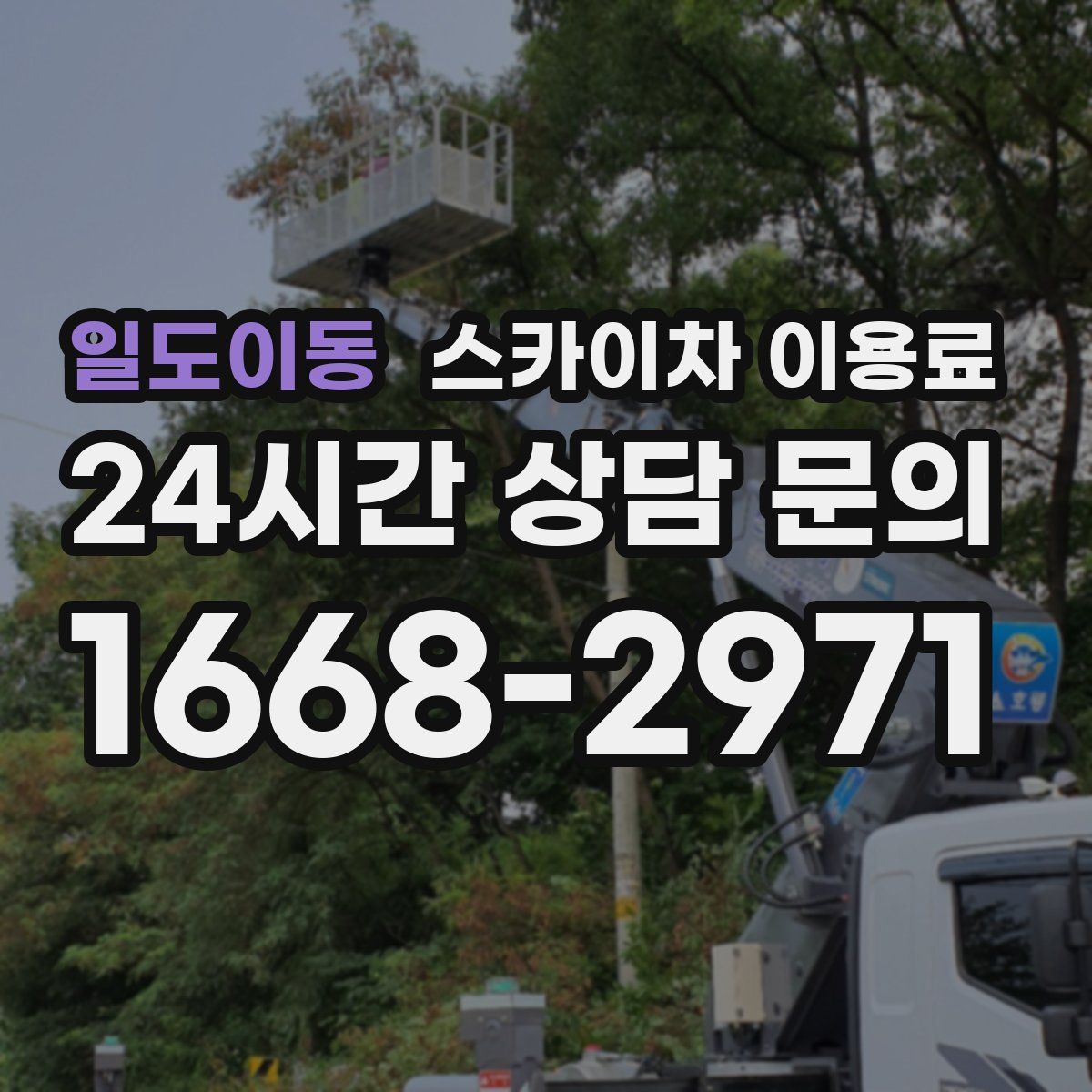 일도이동 스카이차 이용료