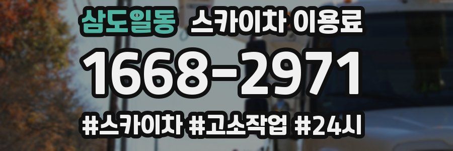 삼도일동 스카이차 이용료