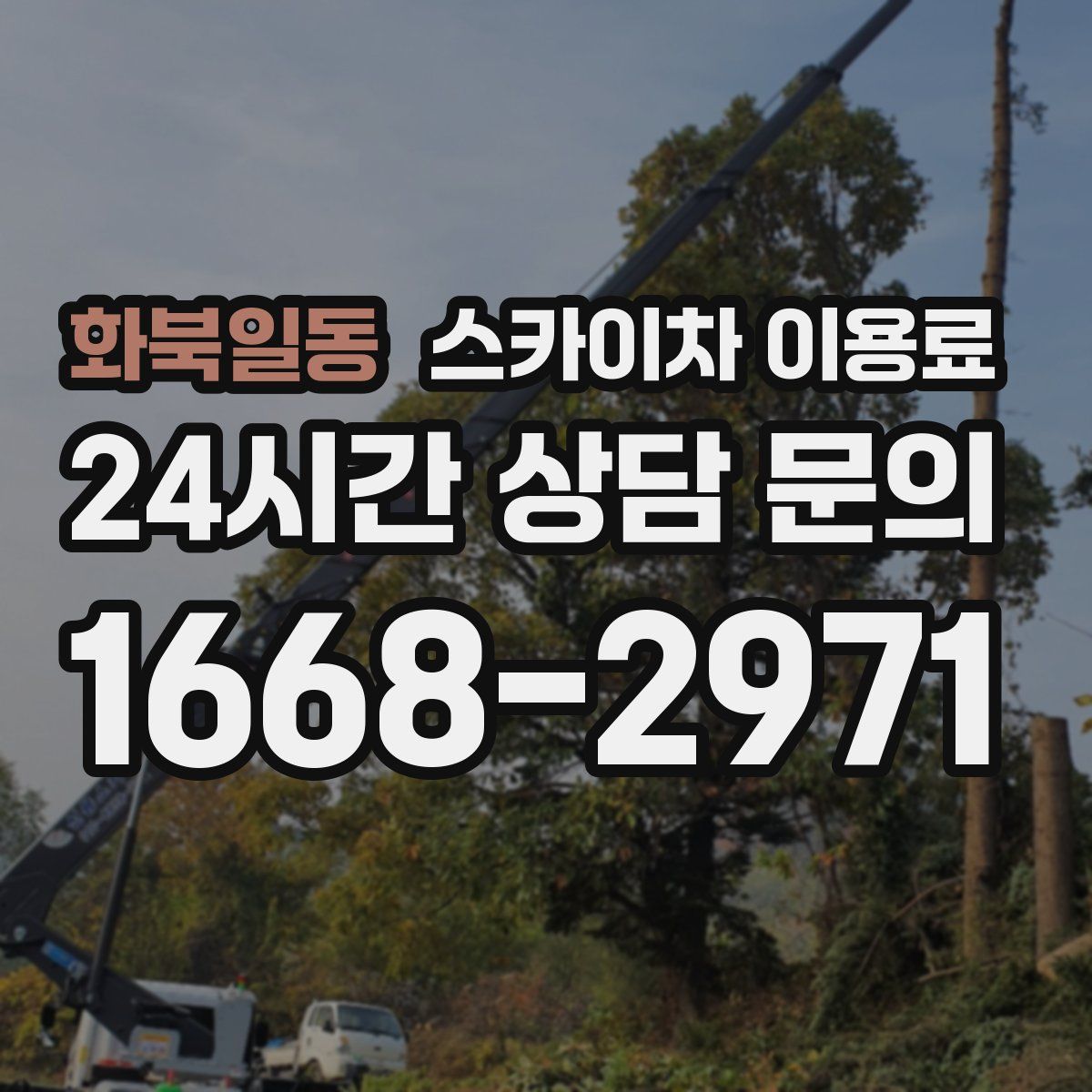 화북일동 스카이차 이용료