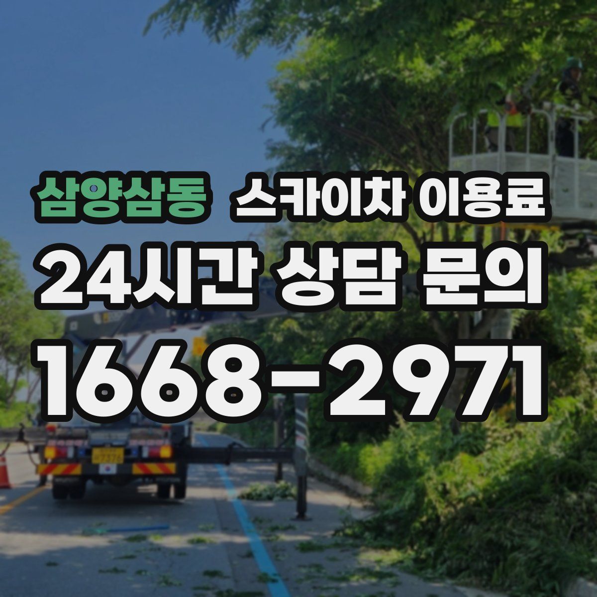 삼양삼동 스카이차 이용료