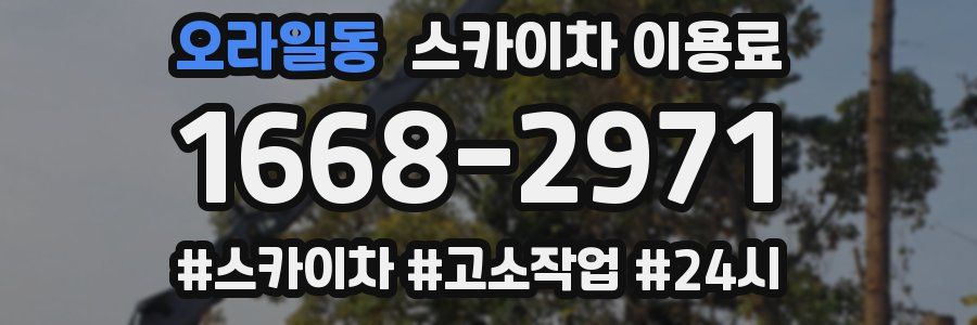 오라일동 스카이차 이용료