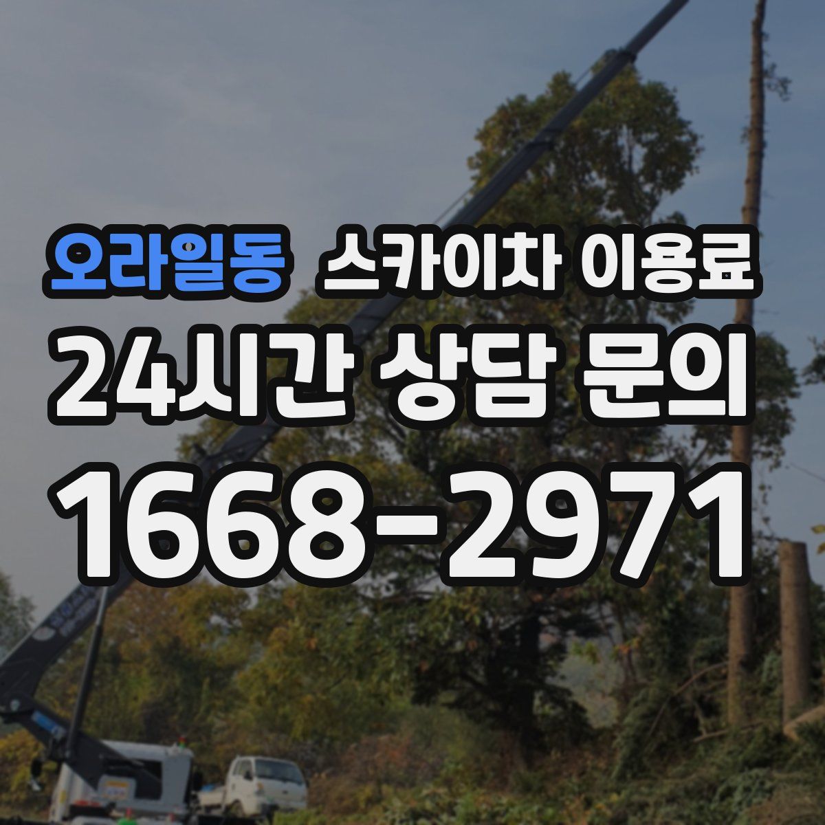 오라일동 스카이차 이용료