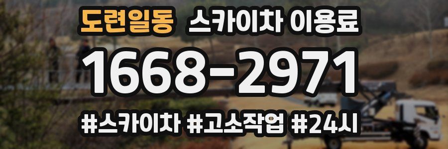 도련일동 스카이차 이용료