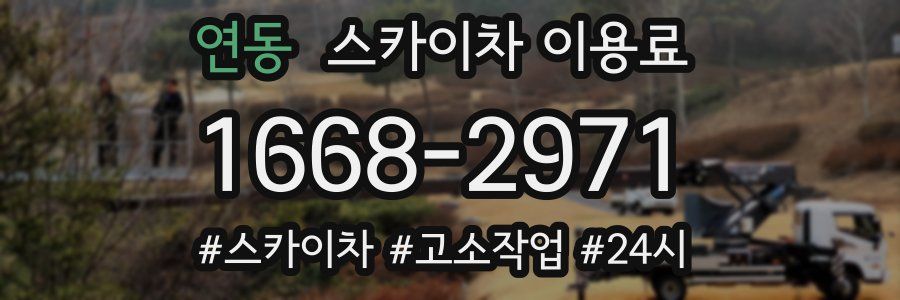 연동 스카이차 이용료
