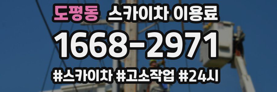 도평동 스카이차 이용료