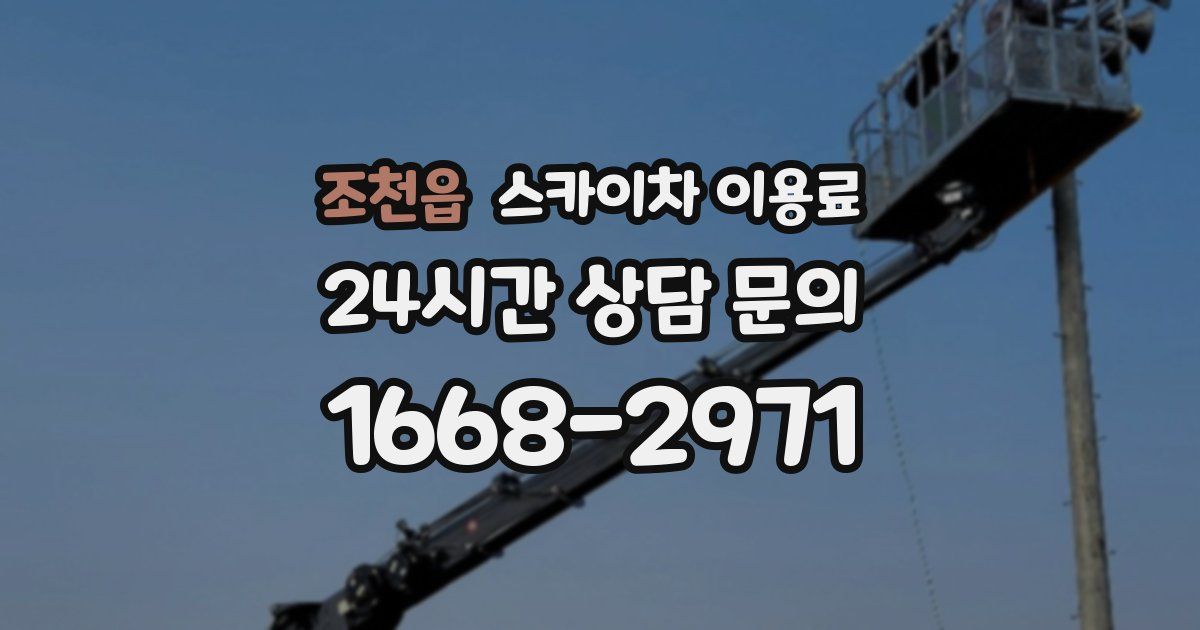 조천읍 스카이차 이용료