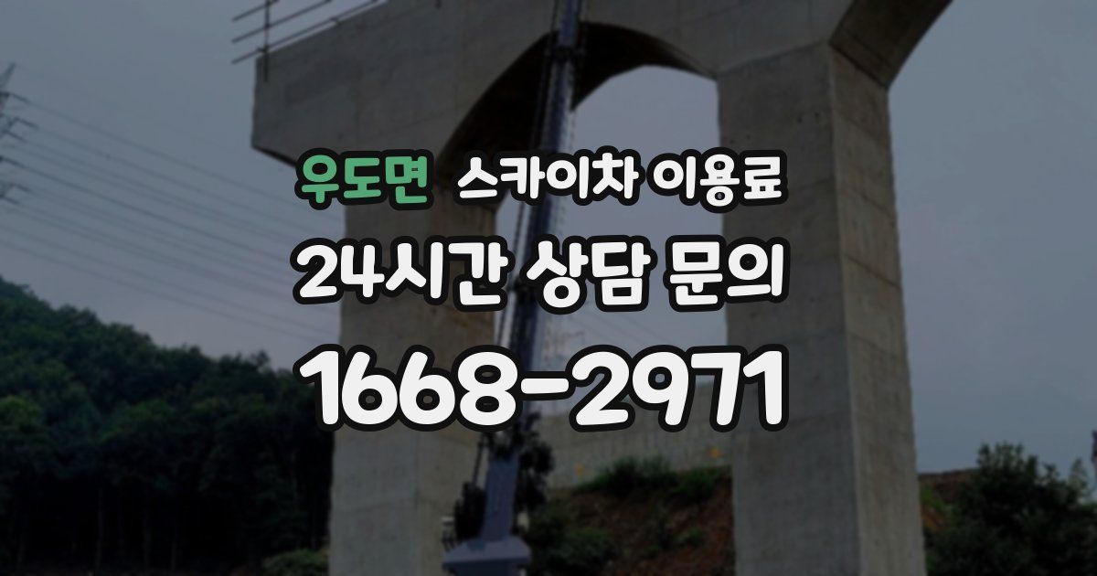 우도면 스카이차 이용료