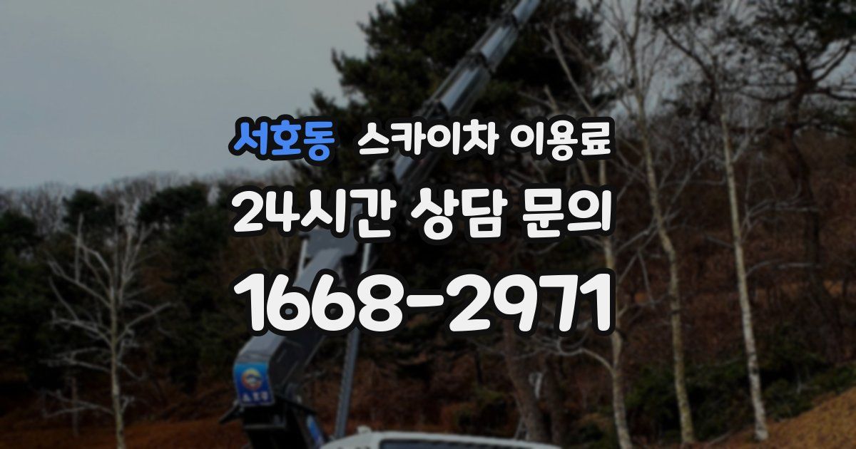 서호동 스카이차 이용료