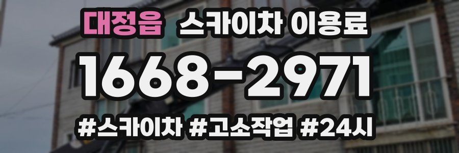대정읍 스카이차 이용료