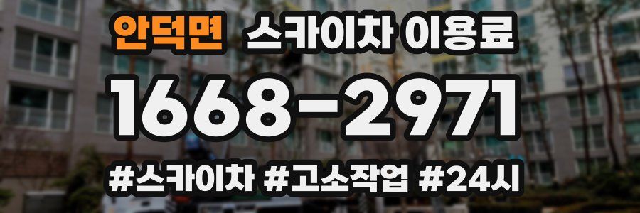 안덕면 스카이차 이용료