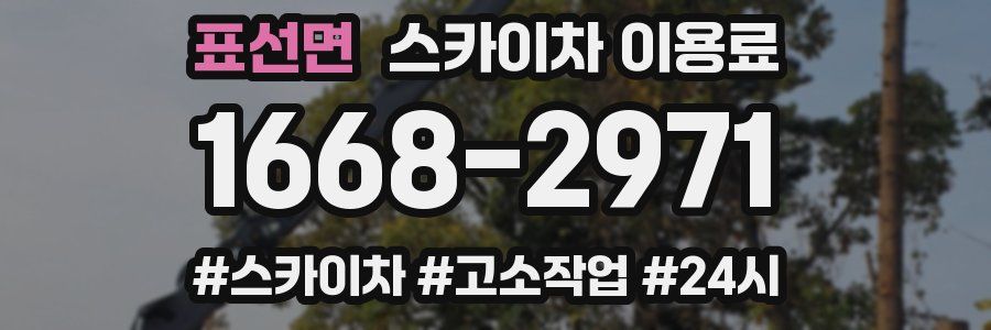 표선면 스카이차 이용료