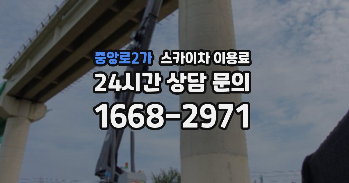 중앙로2가 스카이차 이용료