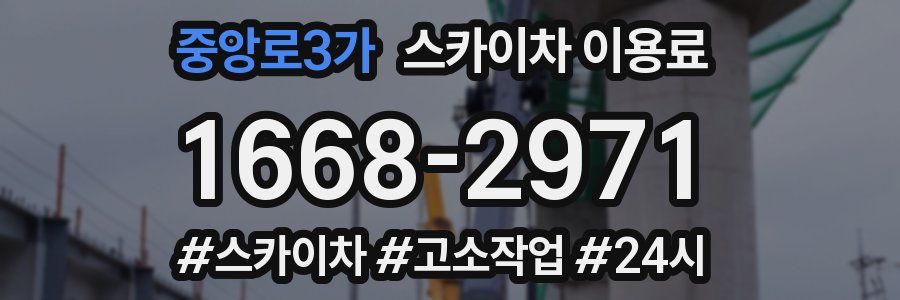 중앙로3가 스카이차 이용료