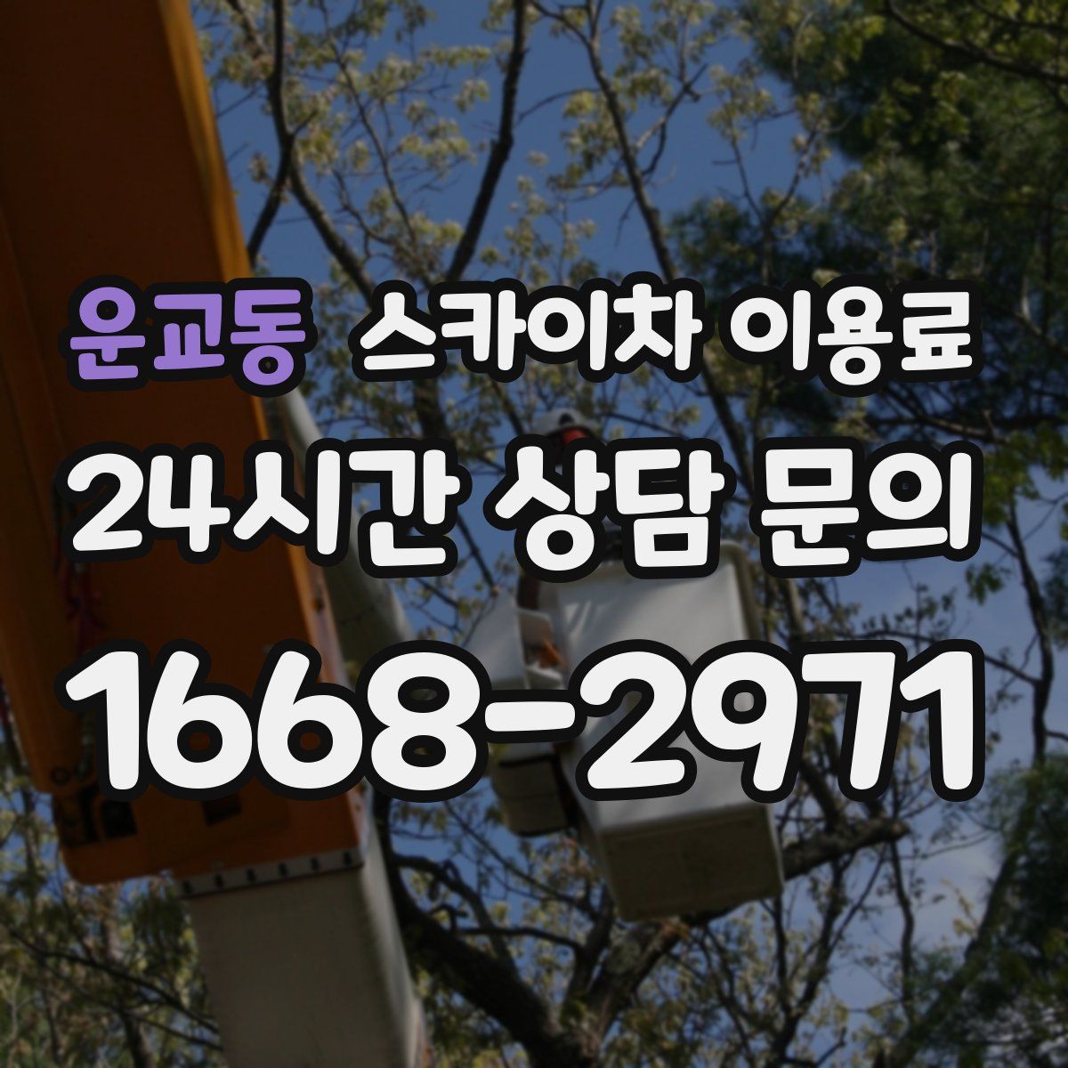 운교동 스카이차 이용료