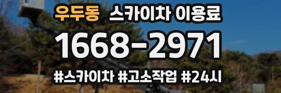 우두동 스카이차 이용료