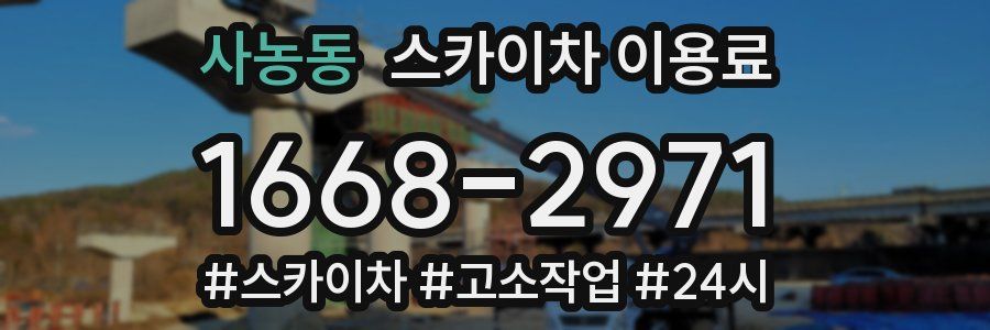 사농동 스카이차 이용료