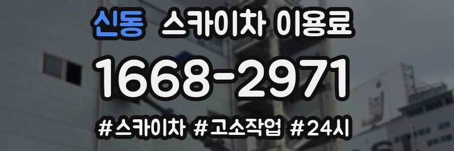 신동 스카이차 이용료