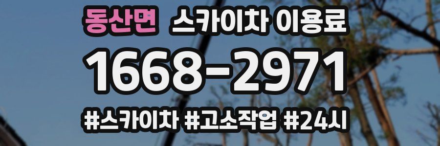 동산면 스카이차 이용료