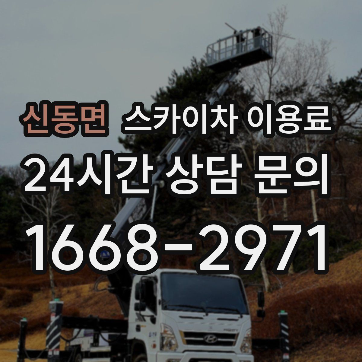 신동면 스카이차 이용료