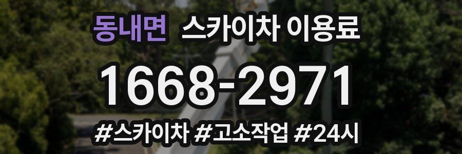 동내면 스카이차 이용료