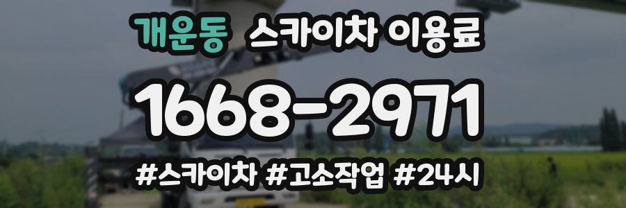 개운동 스카이차 이용료