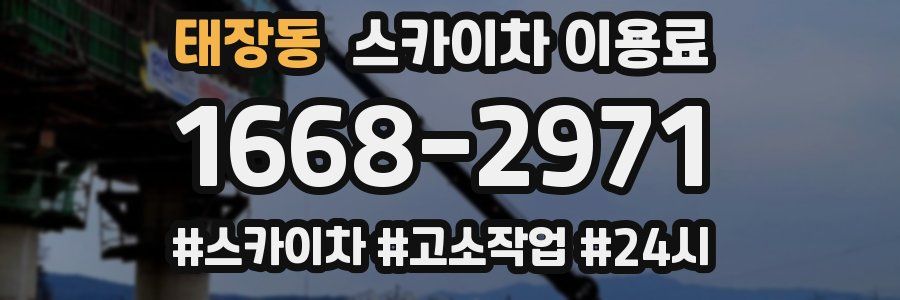 태장동 스카이차 이용료