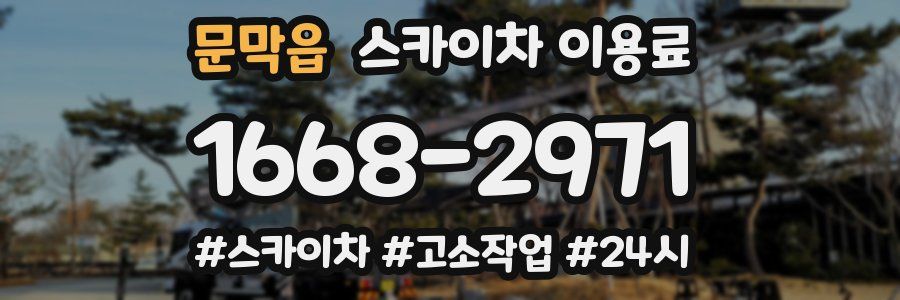 문막읍 스카이차 이용료