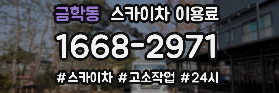 금학동 스카이차 이용료