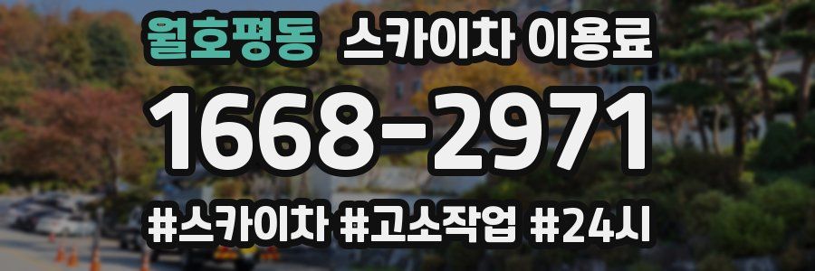 월호평동 스카이차 이용료
