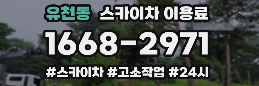유천동 스카이차 이용료