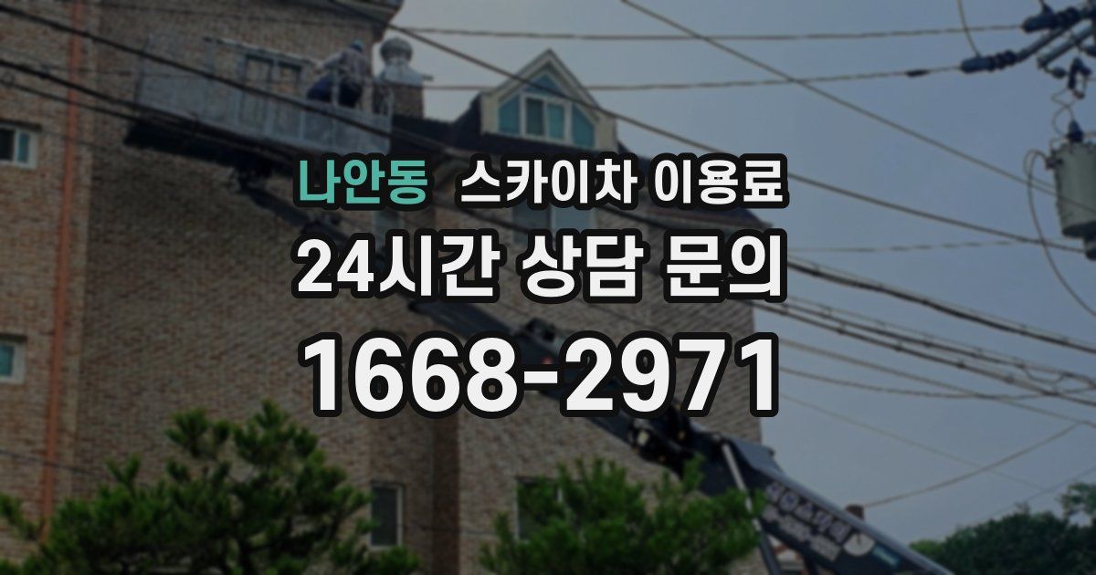 나안동 스카이차 이용료