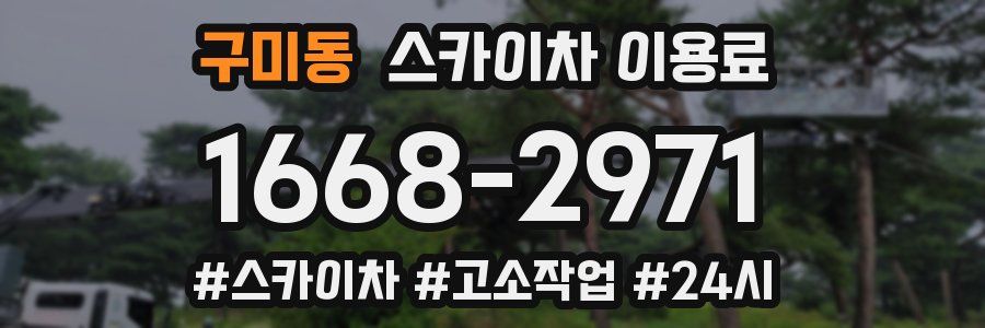 구미동 스카이차 이용료