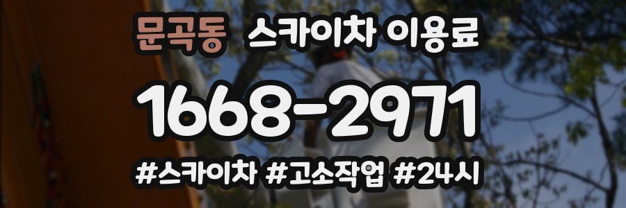 문곡동 스카이차 이용료