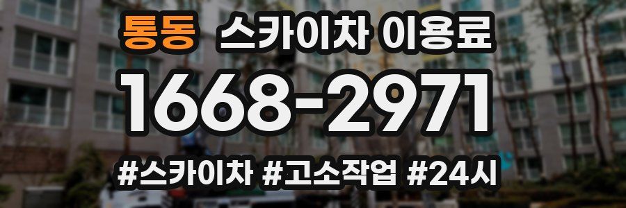 통동 스카이차 이용료