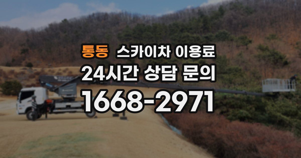 통동 스카이차 이용료