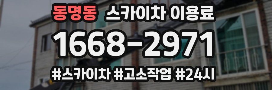 동명동 스카이차 이용료