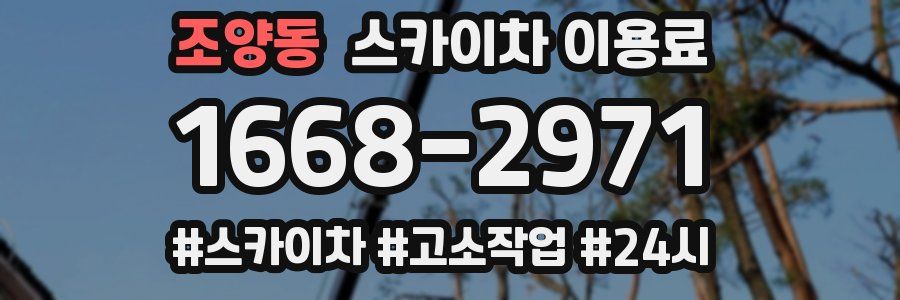 조양동 스카이차 이용료