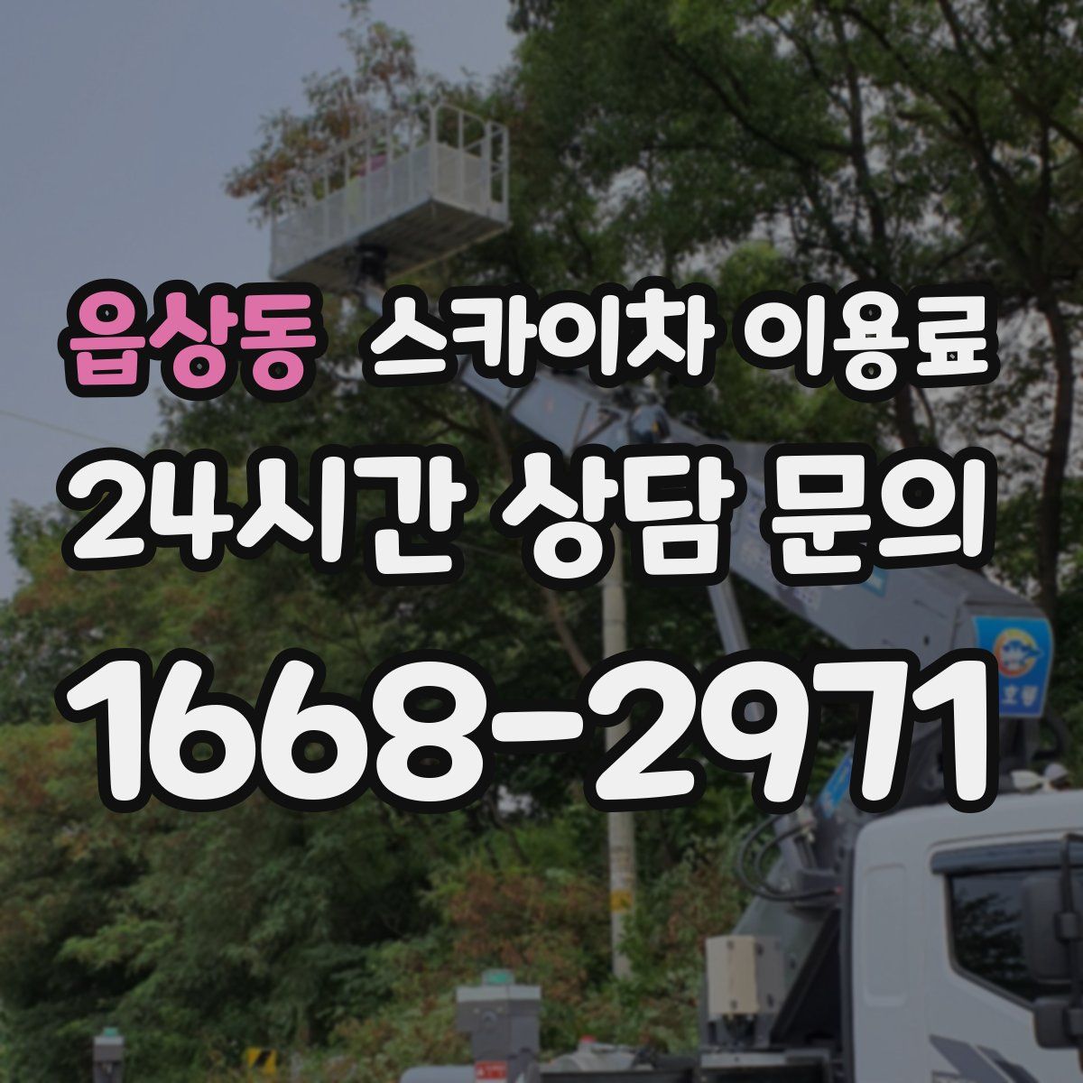 읍상동 스카이차 이용료