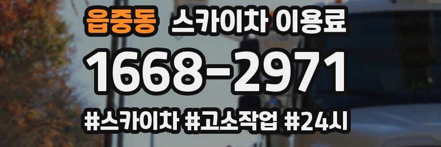 읍중동 스카이차 이용료