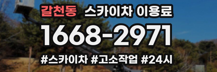 갈천동 스카이차 이용료