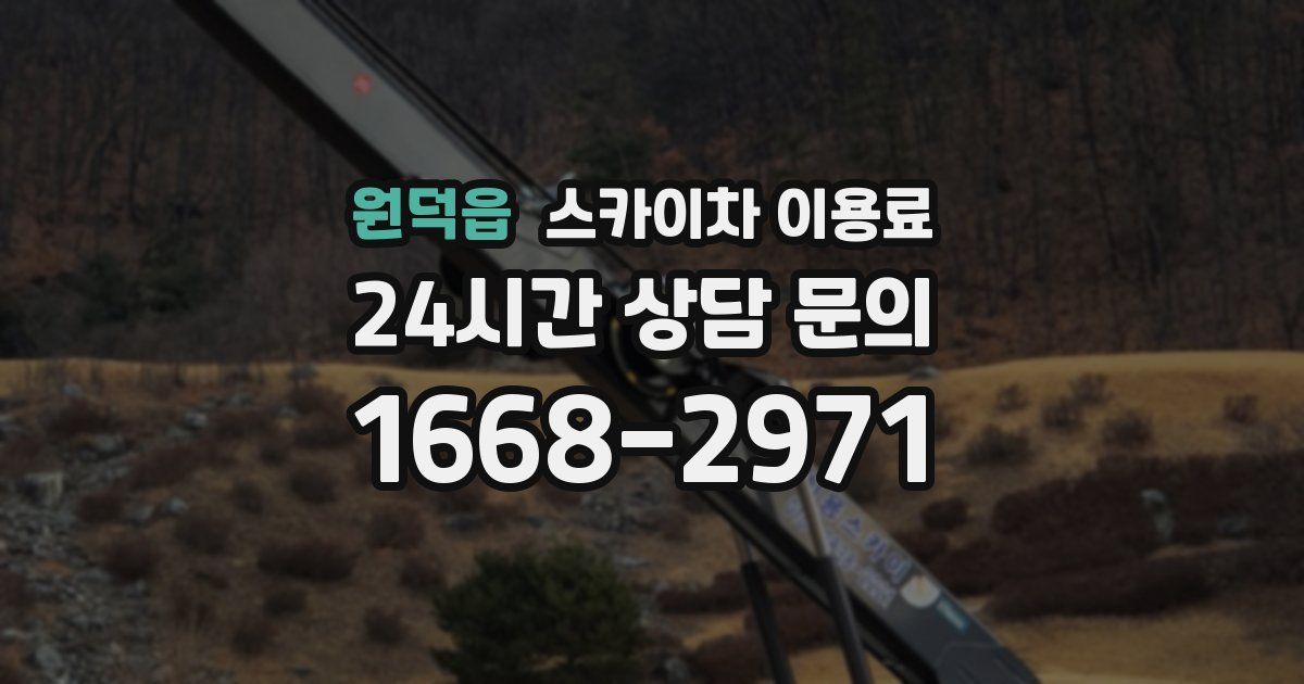 원덕읍 스카이차 이용료