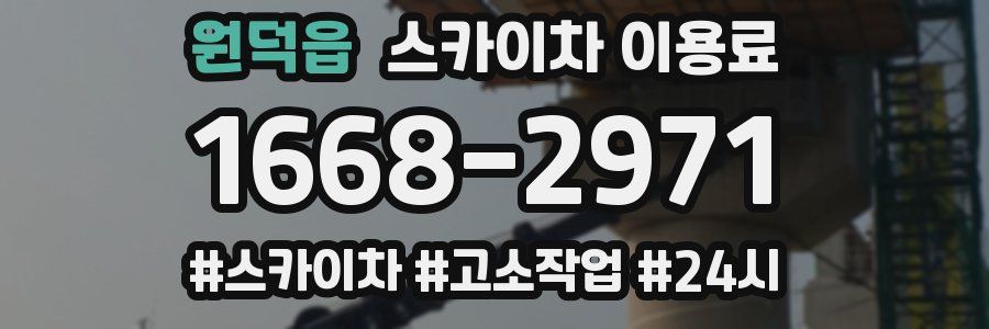 원덕읍 스카이차 이용료