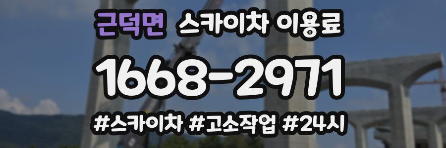 근덕면 스카이차 이용료