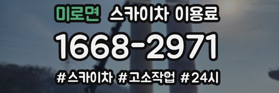 미로면 스카이차 이용료