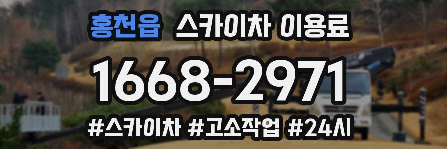 홍천읍 스카이차 이용료
