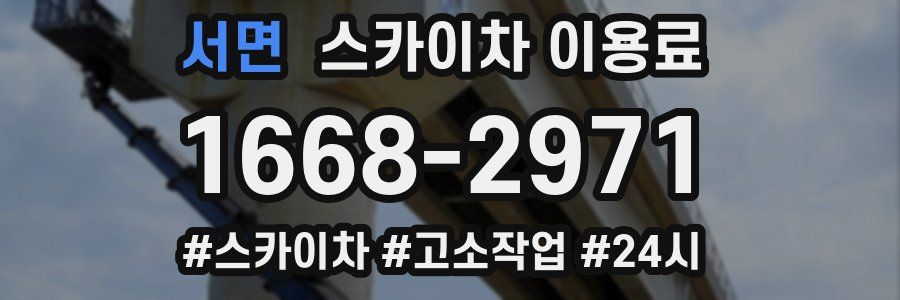 서면 스카이차 이용료