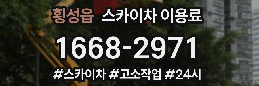 횡성읍 스카이차 이용료