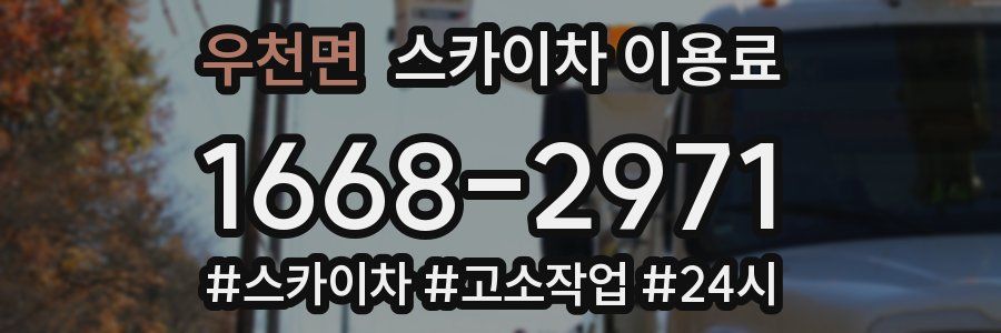 우천면 스카이차 이용료